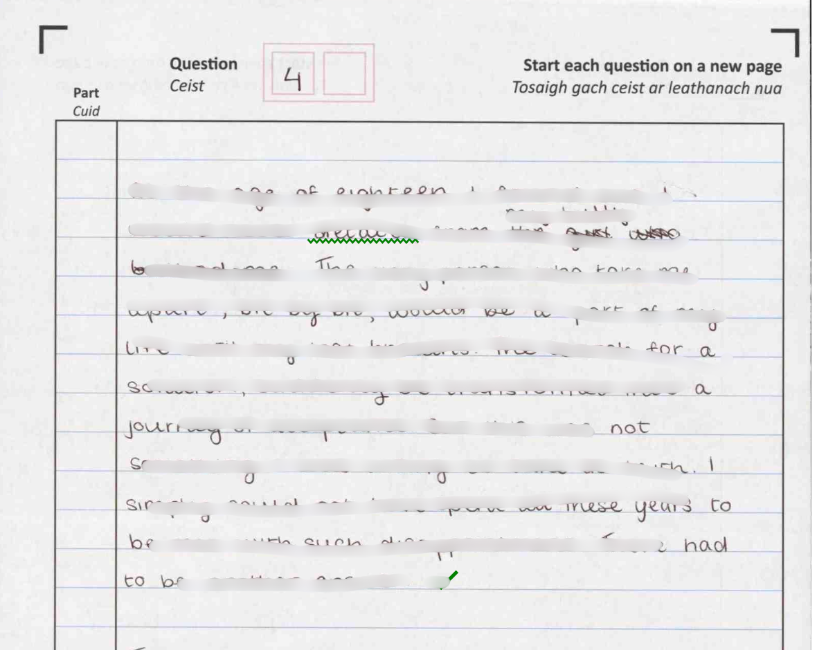 2025 English H1 (95%)