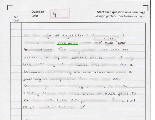 2025 English H1 (95%)